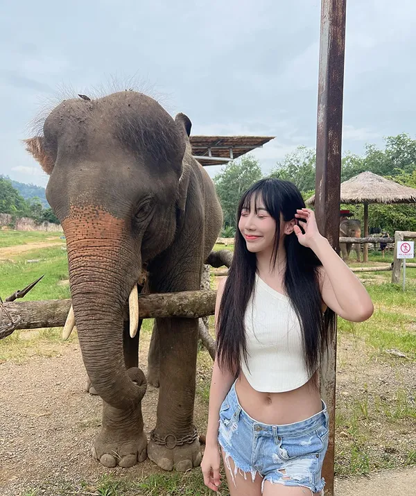 highsstn VK แจกวาร์ป น้องฮาย Sasatorn Buain ดาวทวิต Onlyfans 18+ 12
